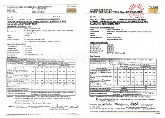 Flammability Test Report-2