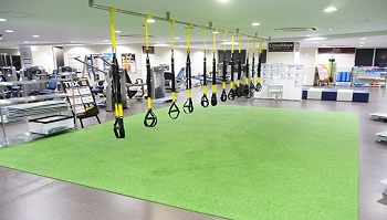 Gymnas in Japan